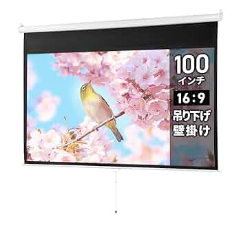 Amazon | イーサプライ プロジェクタースクリーン 100インチ